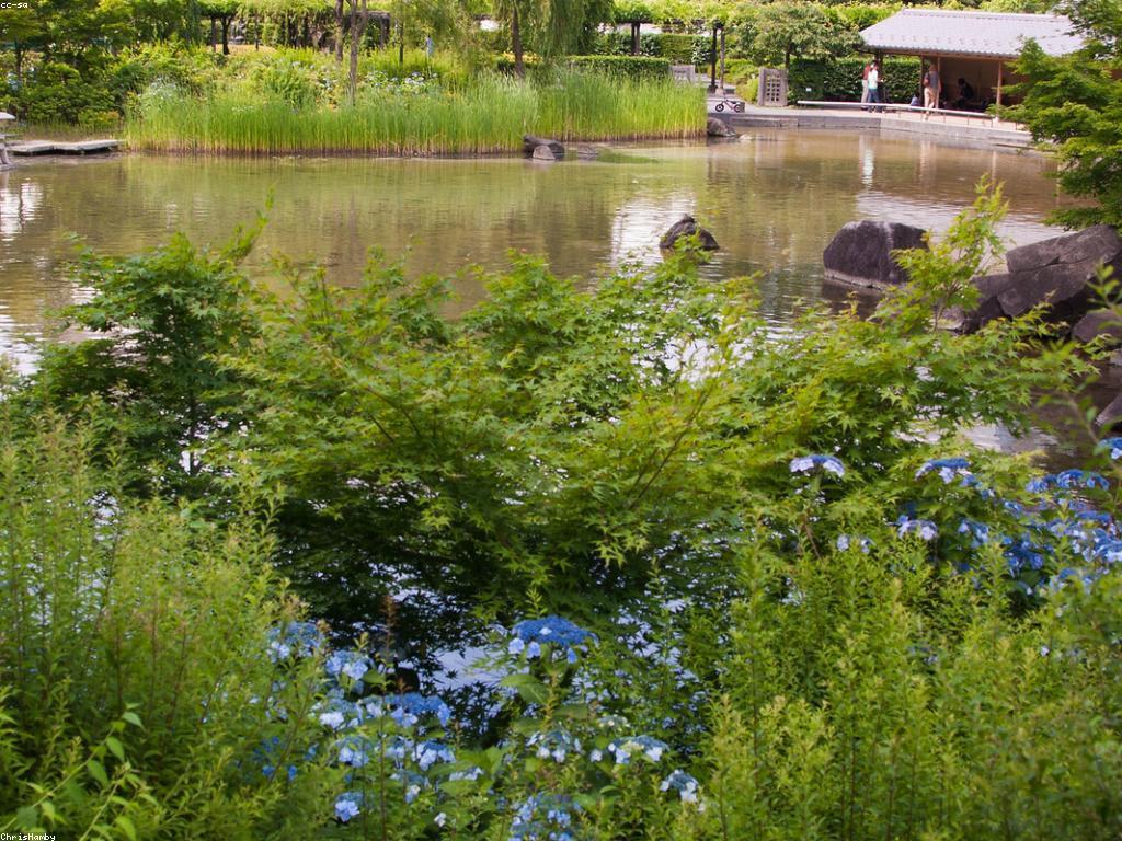 វិធីសាស្ត្រការវាយតម្លៃនិងវិភាគនៅក្នុងអាជីវកម្ម